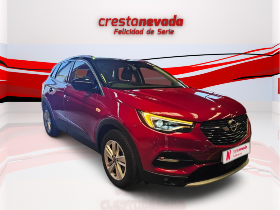 Imagen de Opel Grandland X
