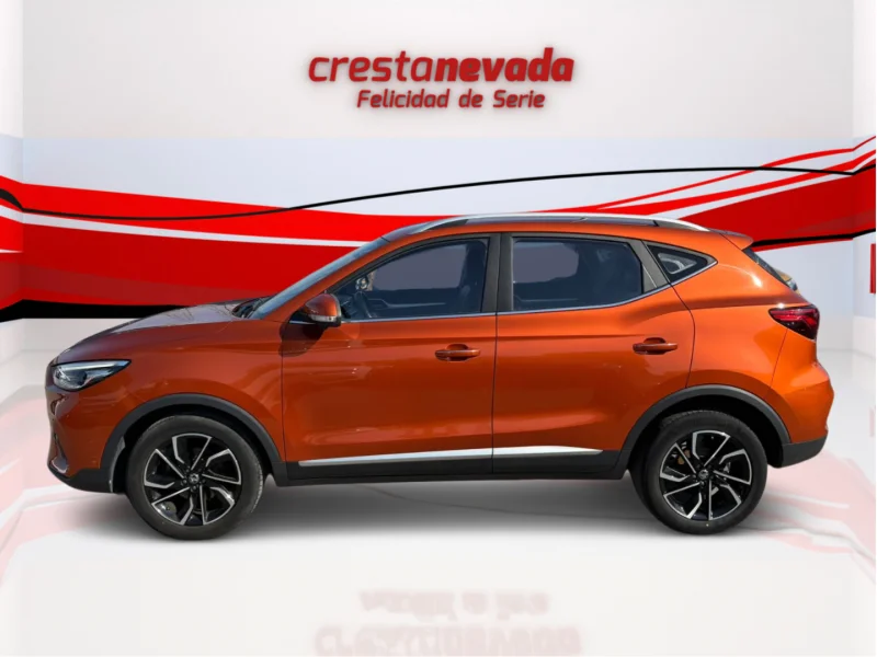 Imagen de Mg ZS