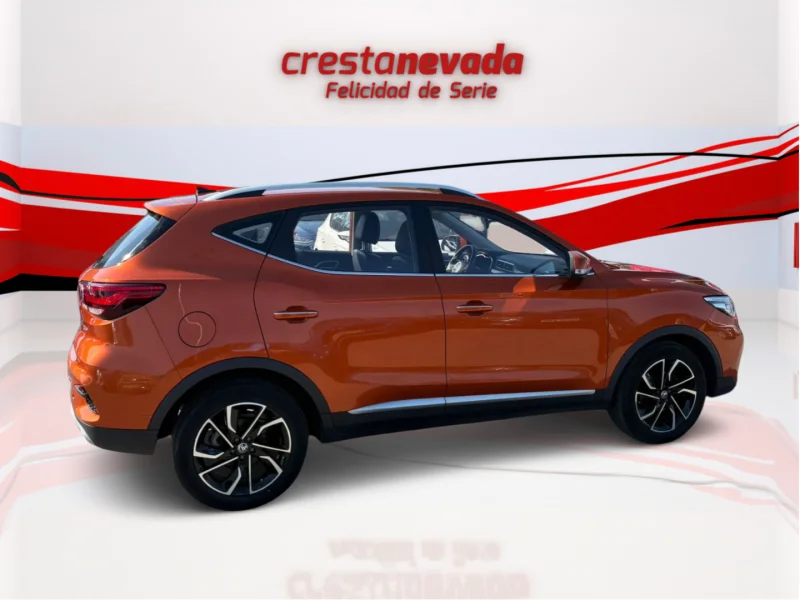 Imagen de Mg ZS