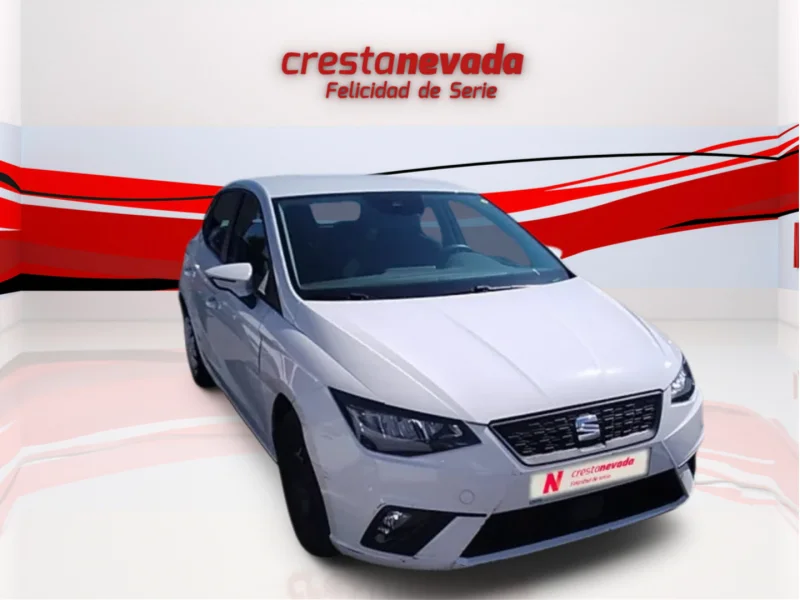 Imagen de SEAT Ibiza