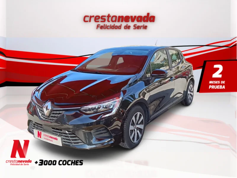 Imagen de Renault Clio