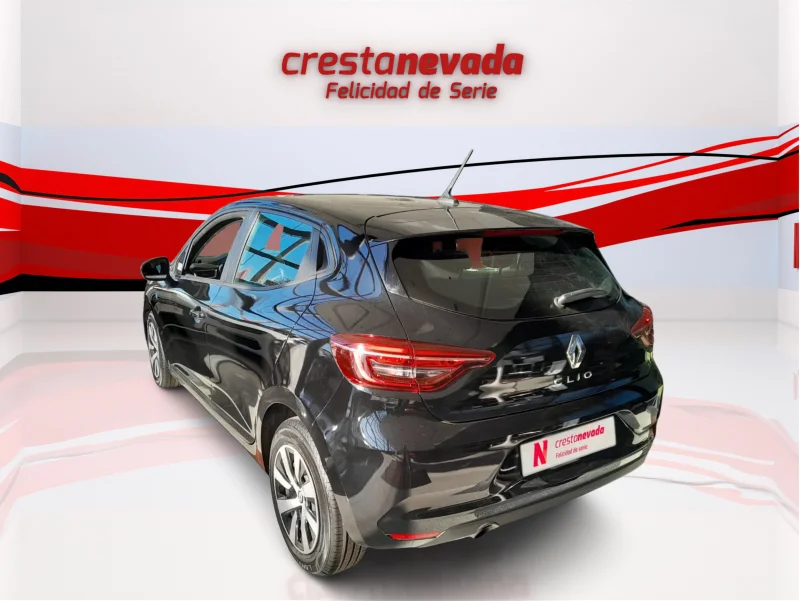 Imagen de Renault Clio