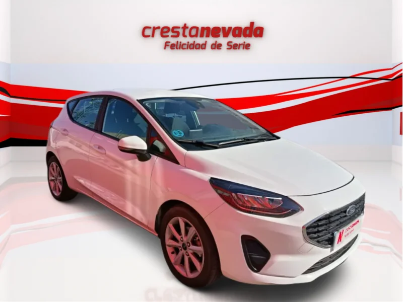 Imagen de Ford Fiesta