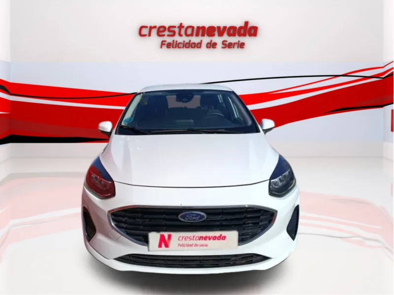 Imagen de Ford Fiesta