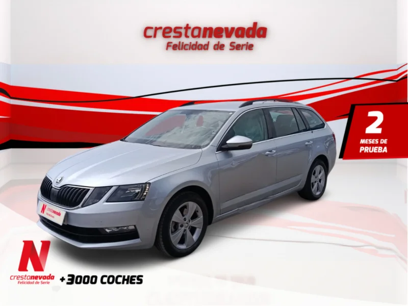 Imagen de Skoda Octavia