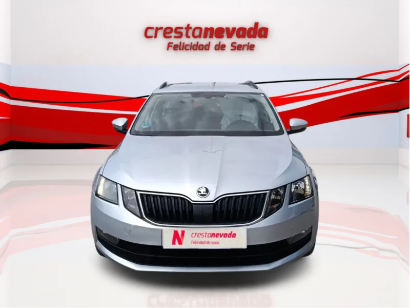 Imagen de Skoda Octavia