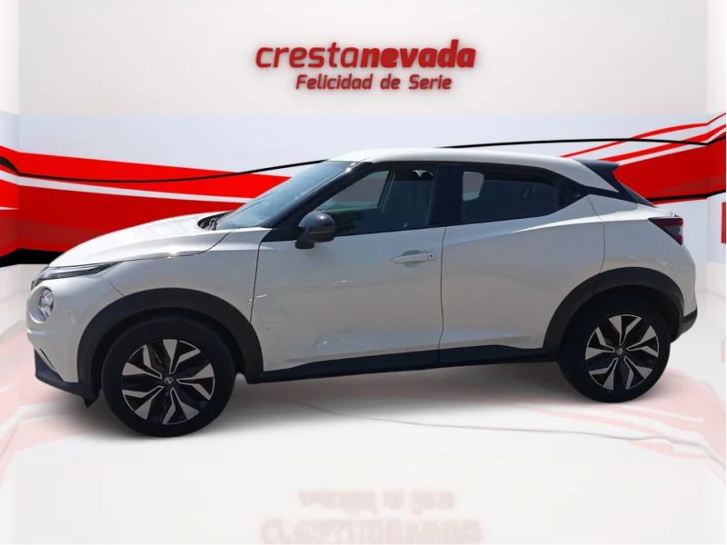 Imagen de NISSAN JUKE