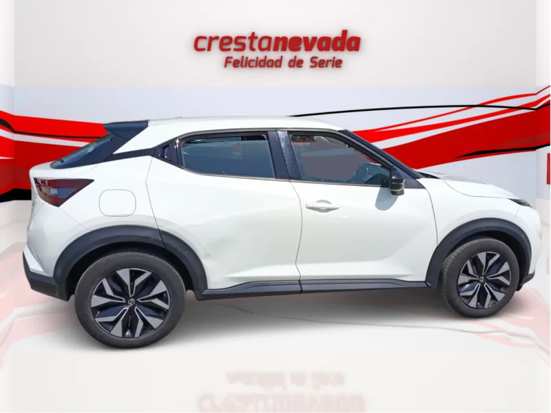 Imagen de NISSAN JUKE