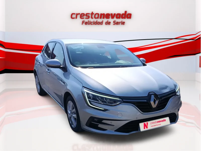 Imagen de Renault Mégane