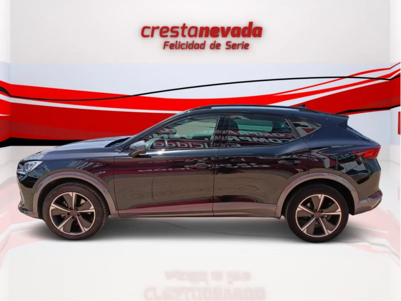 Imagen de cupra Formentor