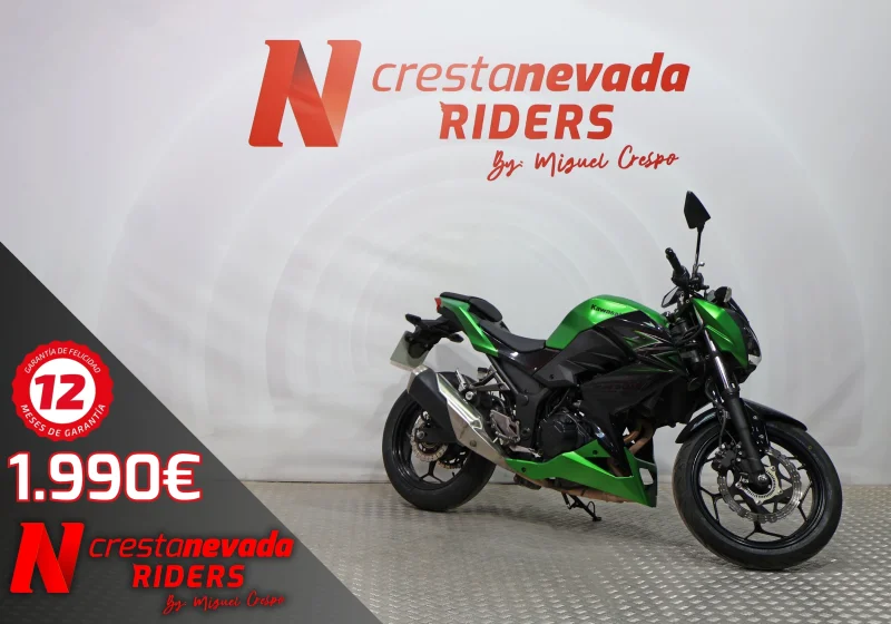 KAWASAKI Z 300