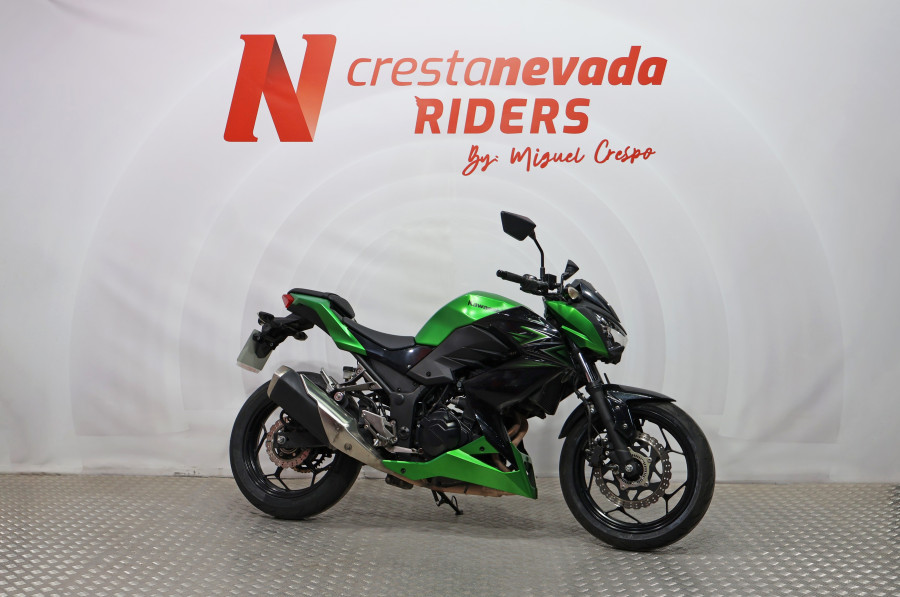 Imagen de KAWASAKI Z 300
