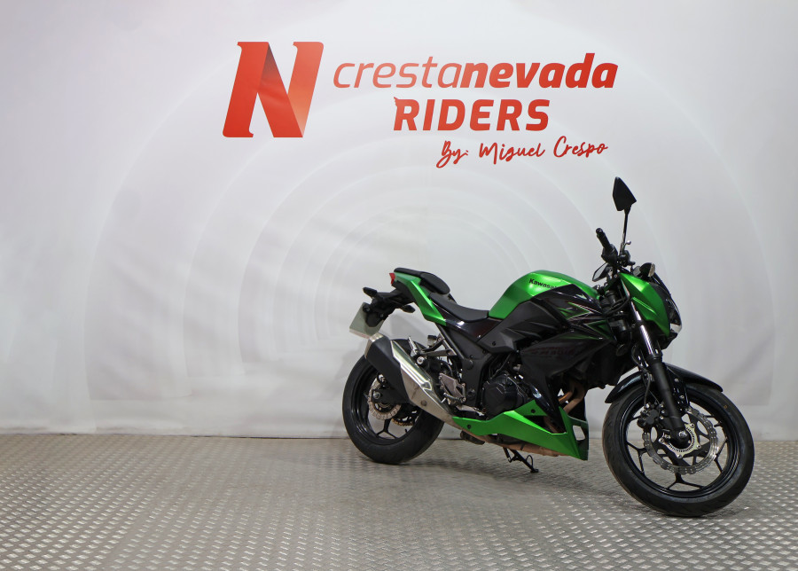 Imagen de KAWASAKI Z 300