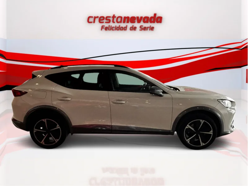 Imagen de cupra Formentor