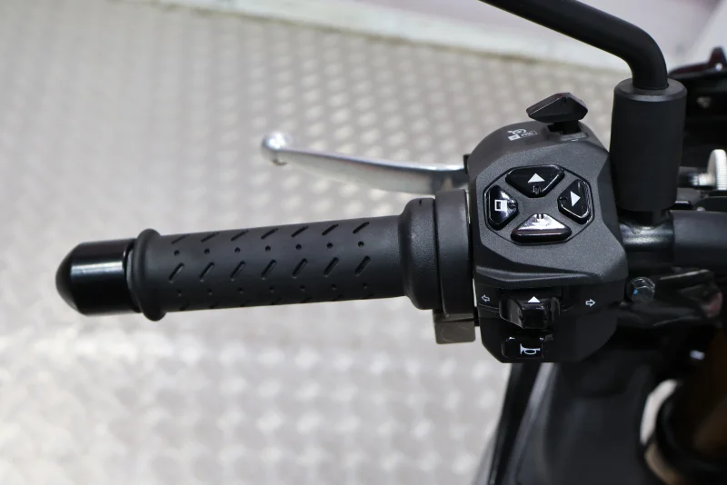 Imagen de Aprilia TUONO V4