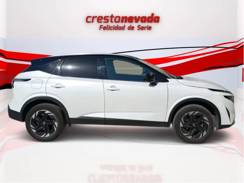 Imagen de NISSAN QASHQAI