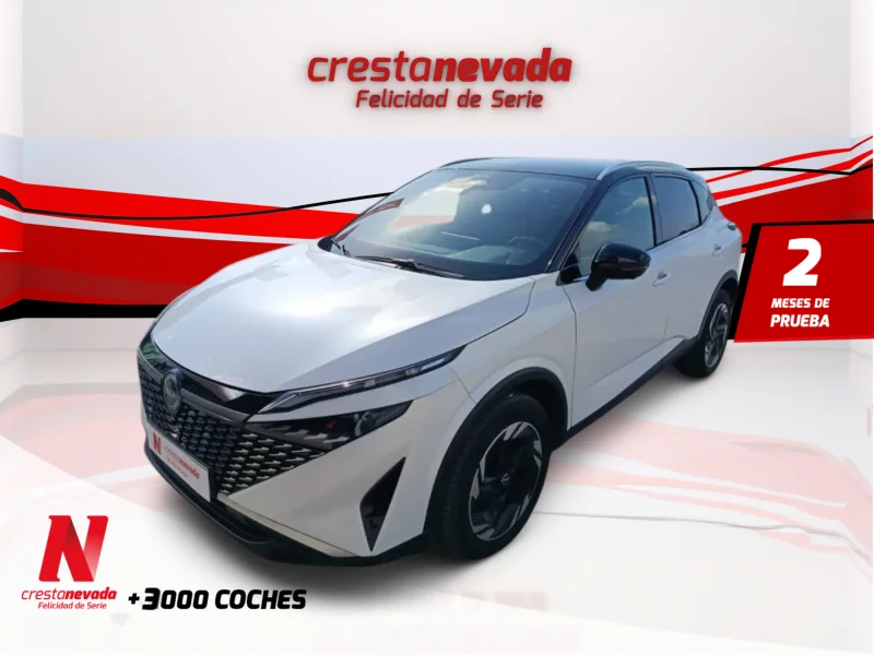 Imagen de NISSAN QASHQAI