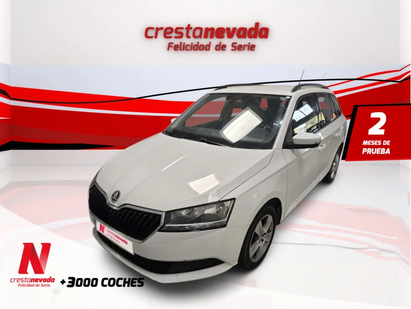 Imagen de Skoda Fabia