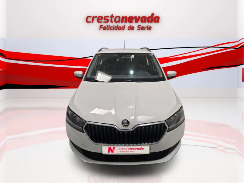 Imagen de Skoda Fabia