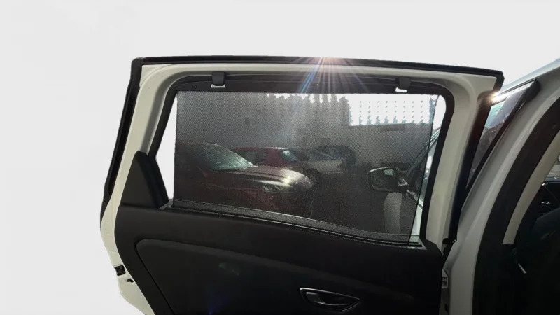 Imagen de Renault Scénic