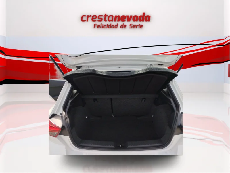 Imagen de SEAT Ibiza