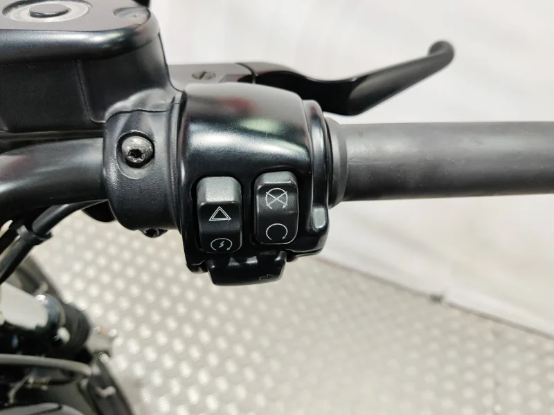 Imagen de Harley-Davidson SPORTSTER IRON 883