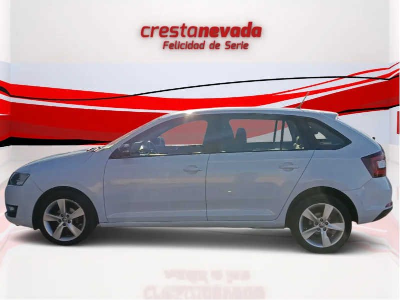 Imagen de Skoda Rapid