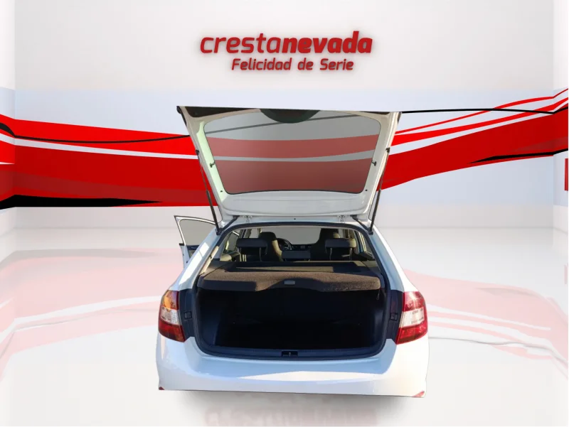 Imagen de Skoda Rapid