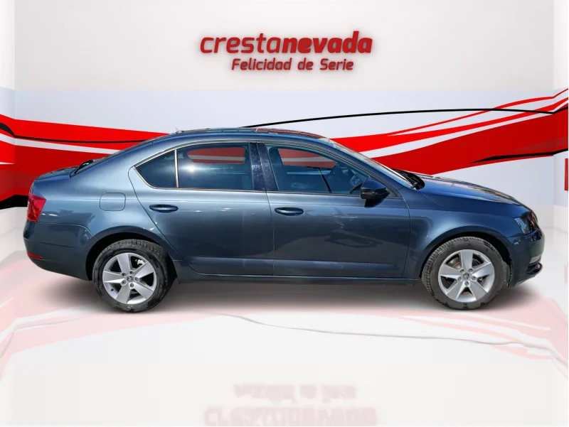 Imagen de Skoda Octavia
