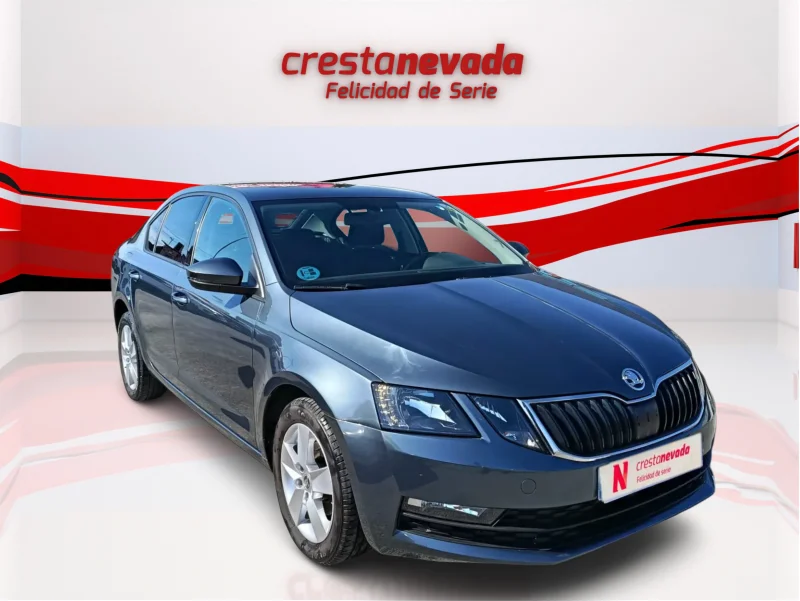Imagen de Skoda Octavia