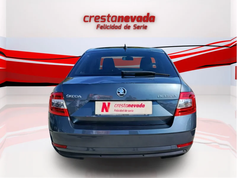 Imagen de Skoda Octavia