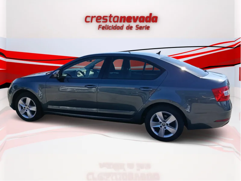 Imagen de Skoda Octavia