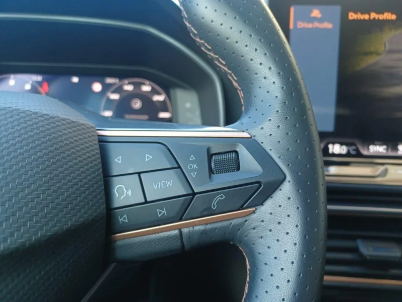 Imagen de cupra León