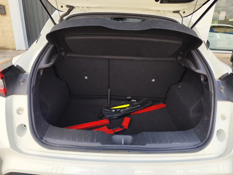 Imagen de NISSAN JUKE