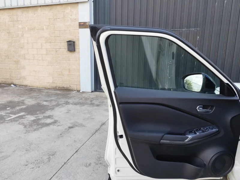 Imagen de NISSAN JUKE