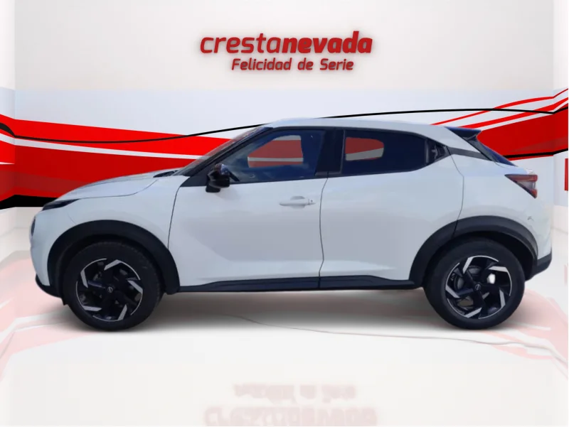 Imagen de NISSAN JUKE