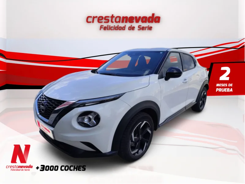 Imagen de NISSAN JUKE