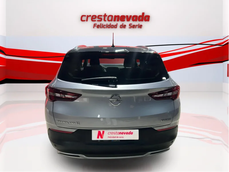 Imagen de Opel Grandland X