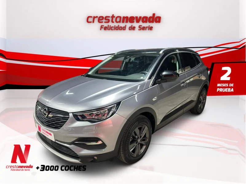 Imagen de Opel Grandland X