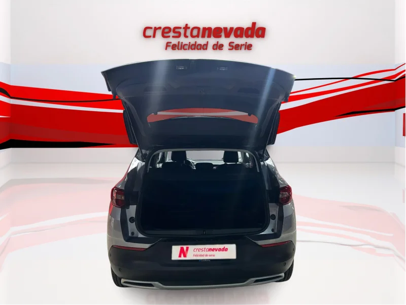 Imagen de Opel Grandland X