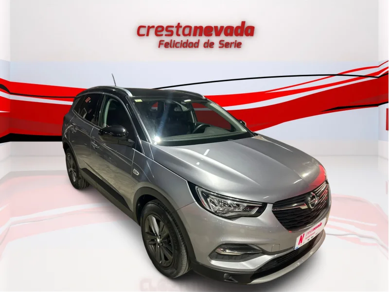 Imagen de Opel Grandland X