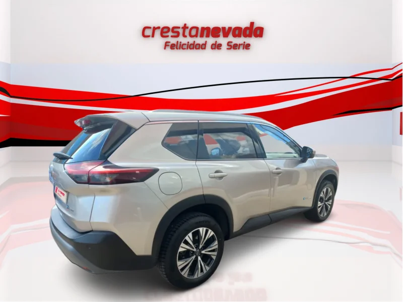 Imagen de NISSAN X-TRAIL