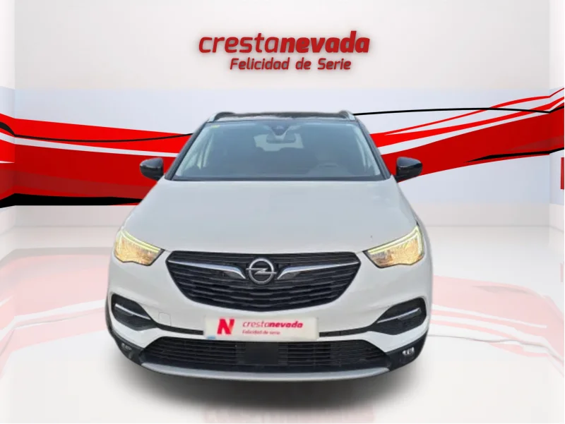Imagen de Opel Grandland X