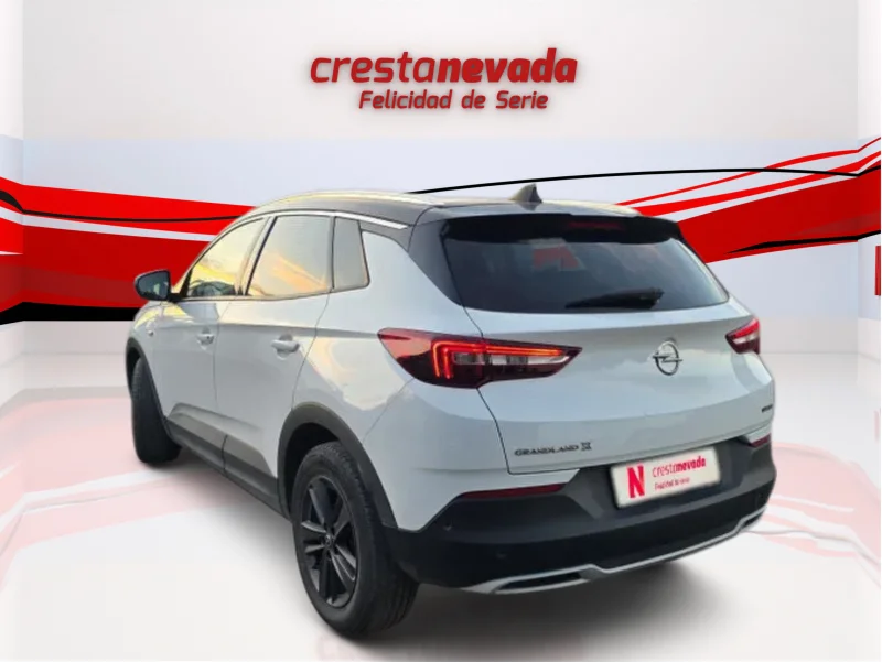Imagen de Opel Grandland X