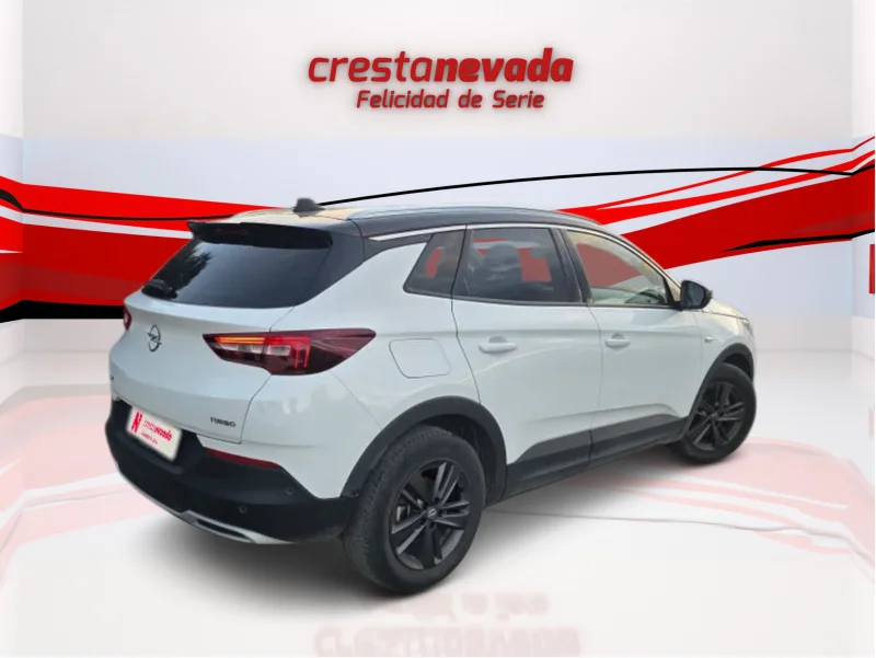 Imagen de Opel Grandland X