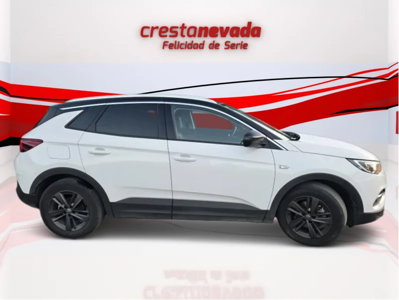 Imagen de Opel Grandland X