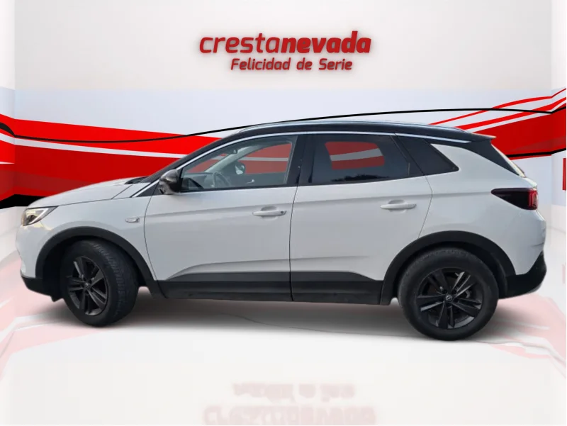 Imagen de Opel Grandland X