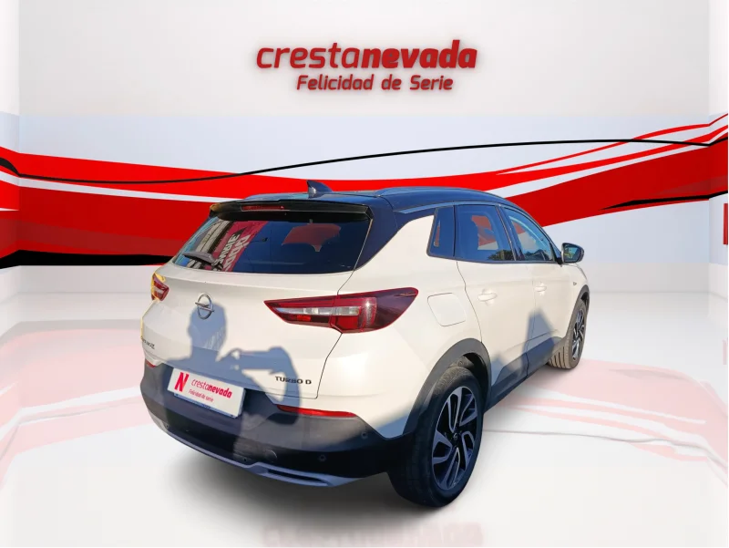 Imagen de Opel Grandland X