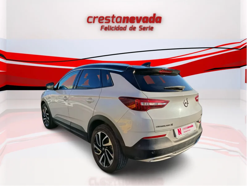 Imagen de Opel Grandland X