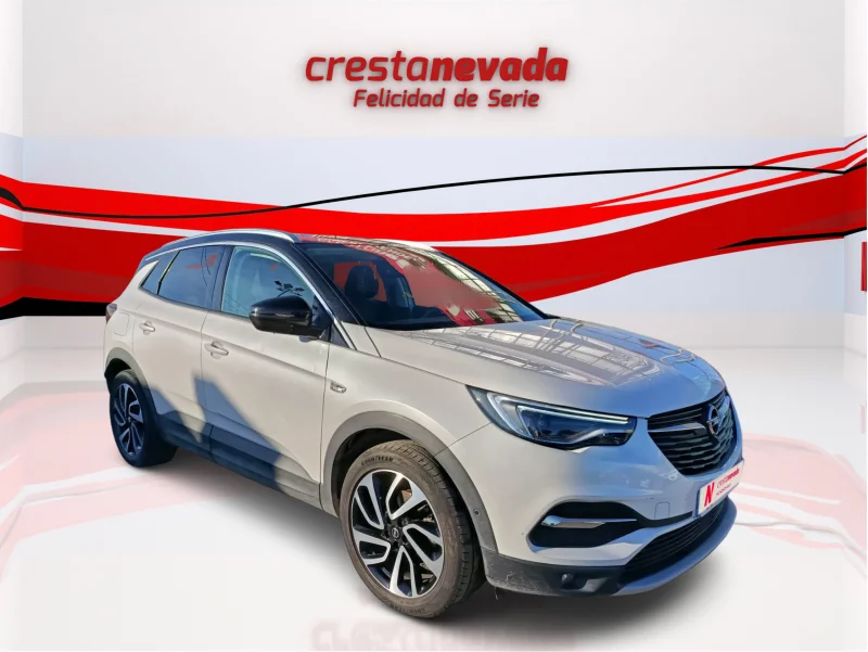 Imagen de Opel Grandland X